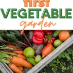 how to start a vegetable garden, starting a vegetable garden, how to start growing vegetables