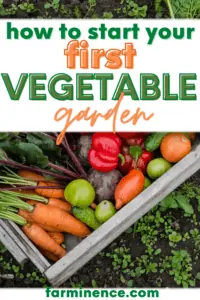 how to start a vegetable garden, starting a vegetable garden, how to start growing vegetables